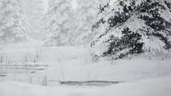 Ilyen a tökéletes téli erdő Unreal Engine 4-ben kép