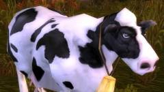 World of Warcraft - megnyílt a Cow Level kép