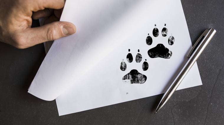 A Blizzard irodáiba csak akkor viheted be a kutyád, ha ő is aláírja a titoktartási szerződést bevezetőkép
