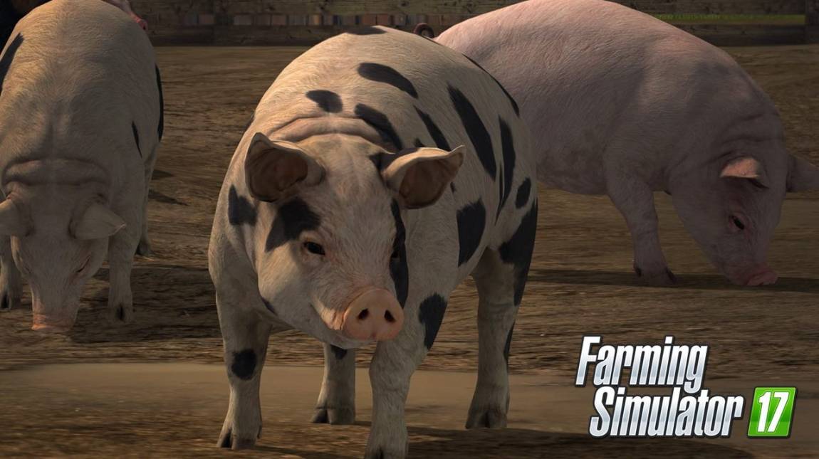 Farming Simulator 17 - a malacnak reggel ki fog enni adni? bevezetőkép