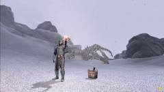The Elder Scrolls V: Skyrim - egy játékos úgy játszotta végig, hogy mindenkit fáklyával vert el kép
