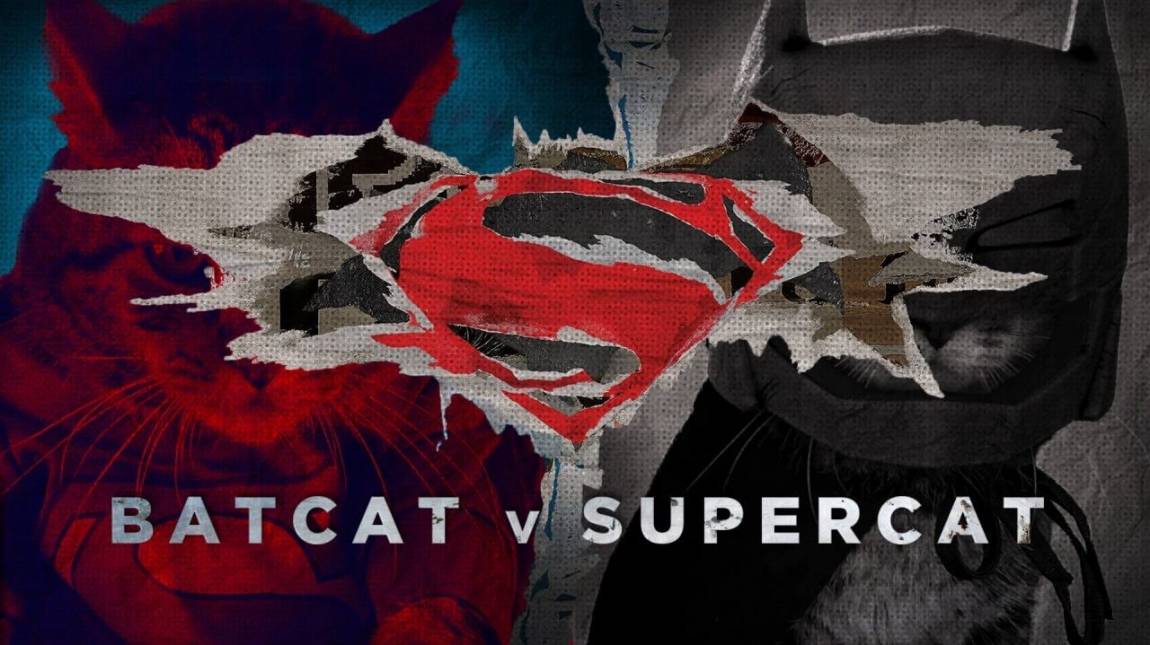 Batmacs Supermacs ellen, avagy traileren a cicaság hajnala kép