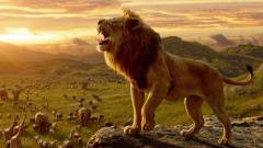 Az oroszlánkirály remake-je lett a legtöbb bevételt hozó animációs film kép
