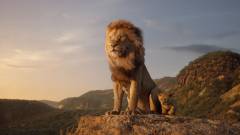 Folytatás készül az élőszereplős Az oroszlánkirályhoz, méghozzá Oscar-díjas rendezővel! kép