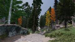 Egy The Elder Scrolls V: Skyrim mod egyszerre 6000 új fát pakol a játékba kép