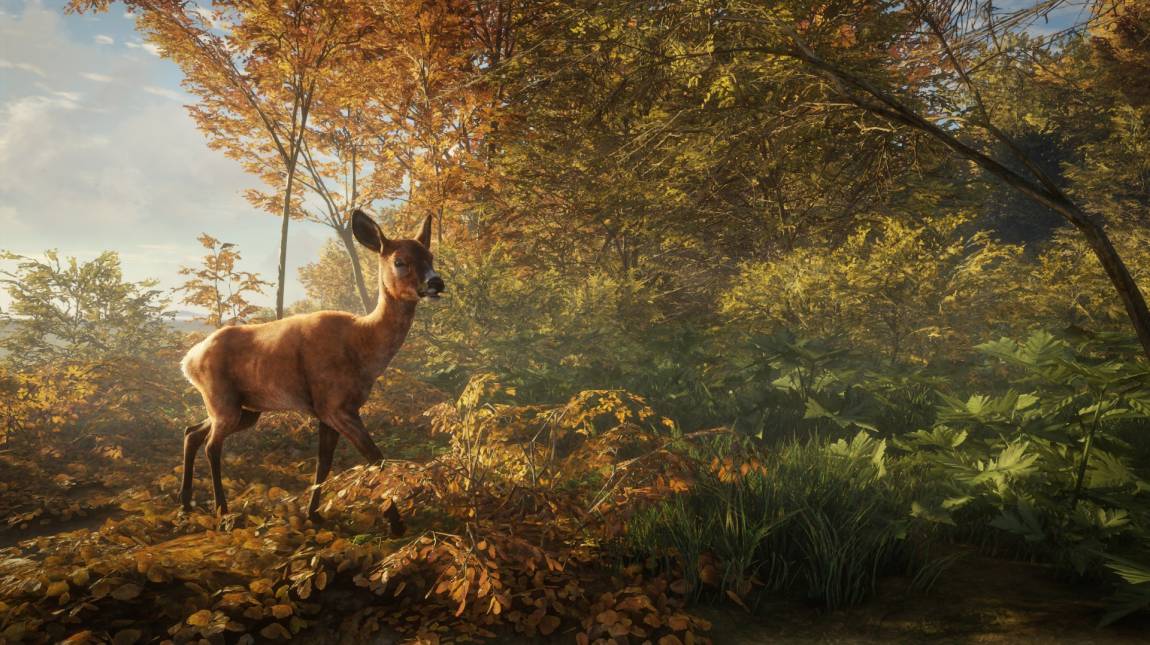 theHunter: Call of the Wild - gameplay traileren a készülő vadászjáték bevezetőkép