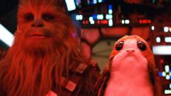 Star Wars: Az utolsó Jedik - akár így is festhettek volna a porgok kép