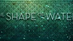 The Shape of Water - premierdátumot kapott Guillermo del Toro új filmje kép