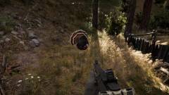 Far Cry 5 - a pulyka a legveszedelmesebb kép