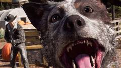 Far Cry 5 - érkezik a fotó mód kép