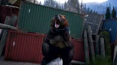 Far Cry 5 - az atya, a testvérei, és egy Sajtburger nevű medve kép