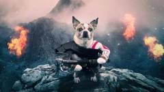 Napi büntetés: a Dog of War olyan, mint a God of War, csak épp kutyákkal kép