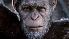 Egy új A majmok bolygója trilógiával tervez a Disney kép