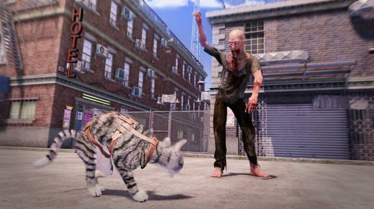 Napi büntetés: a macskaszimulátor, ami egy zombis RPG is egyben bevezetőkép