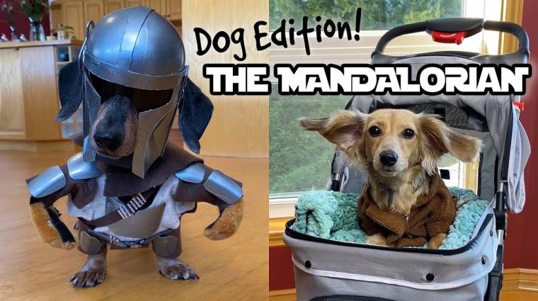 Napi büntetés: így lett kutyából Mandalorian bevezetőkép