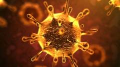 Az HBO a koronavírus ellenszerének kereséséről készít sorozatot kép