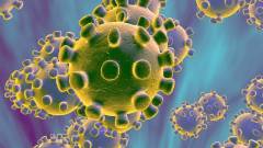 Élő internetes vezérlőpultot kapott a koronavírus kép