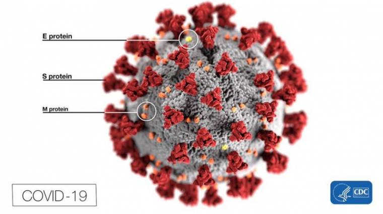 Egy játékot is segítségül hívtak a kutatók a koronavírus legyőzéséhez bevezetőkép