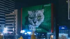Gigantikus macskával promózza a 200 megapixeles mobil kameráját a Samsung kép