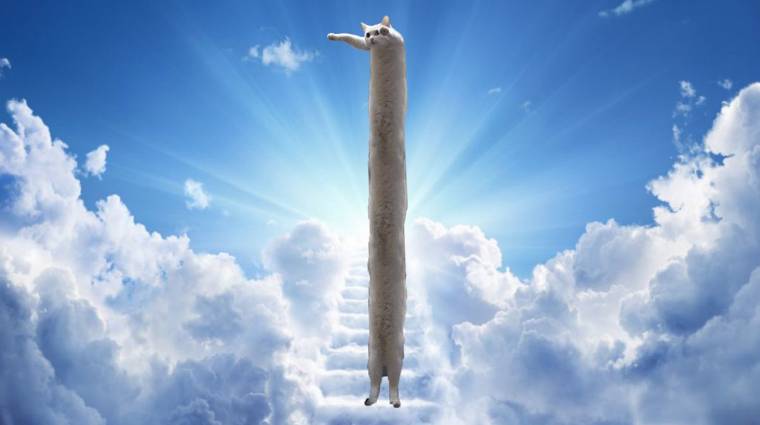 Meghalt Longcat, az egyik legismertebb mém-macska kép