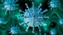 Számítógépes vírusok is terjednek a koronavírussal kép