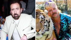 Nicolas Cage a Tigriskirály bőrébe bújik karrierje első sorozatában kép