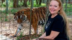 Komoly vádakkal nézhet szembe Carole Baskin, a netflixes Tiger King dokusorozat egyik főszereplője kép
