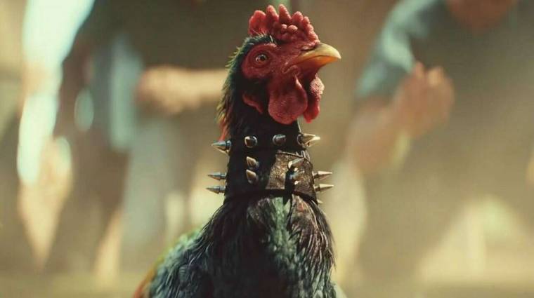 Az állatvédők a Far Cry 6-ot támadják, a kakasviadalok eltávolítását követelik bevezetőkép