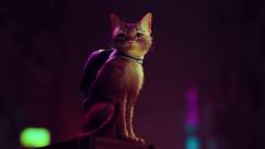 Késik a PlayStation kóbor macskája kép