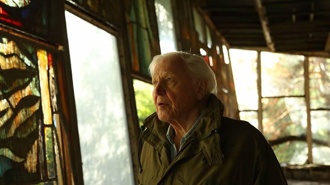 David Attenborough: Egy élet a bolygónkon - Kritika kép