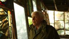 David Attenborough: Egy élet a bolygónkon - Kritika kép