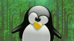 Súlyos biztonsági hibát talált a Linuxban a Google és az Intel kép
