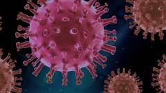Lehet arról beszélni, hogy miben lett hasznos a koronavírus? kép