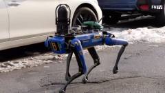 A New York-i rendőrség nyugdíjazza Digidogot, a disztópikus robotkutyát kép