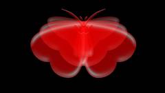 Digitális pillangóeffektus kép
