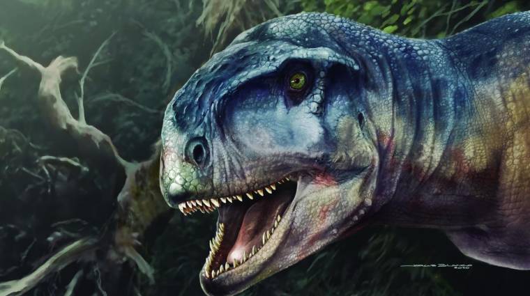 Új dinoszaurusz maradványaira bukkantak Argentínában kép