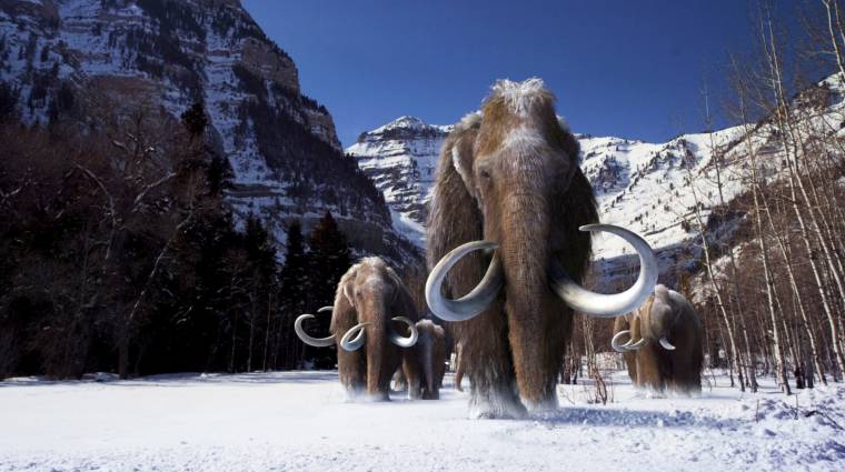 Jurassic Park-szerű kísérlettel hoznák vissza a gyapjas mamutot kép