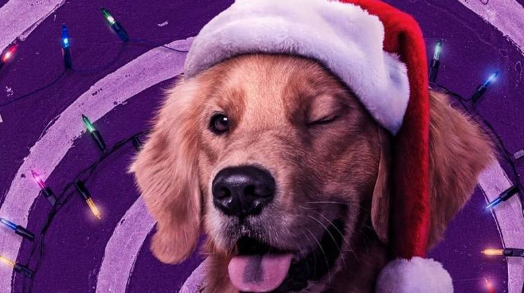 Aranyos videóban ismerhetjük meg jobban a Sólyomszem cuki kutyáját, Pizza Dogot kép