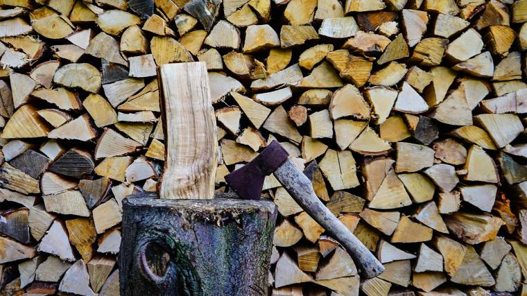 Az új módszer segítségével akár fából készült baltával is lehet majd fát vágni (Fotó: Andreas Steidlinger/Scopio)