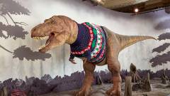 Karácsonyi pulcsit kapott a londoni Természettudományi Múzeum T-rexe kép