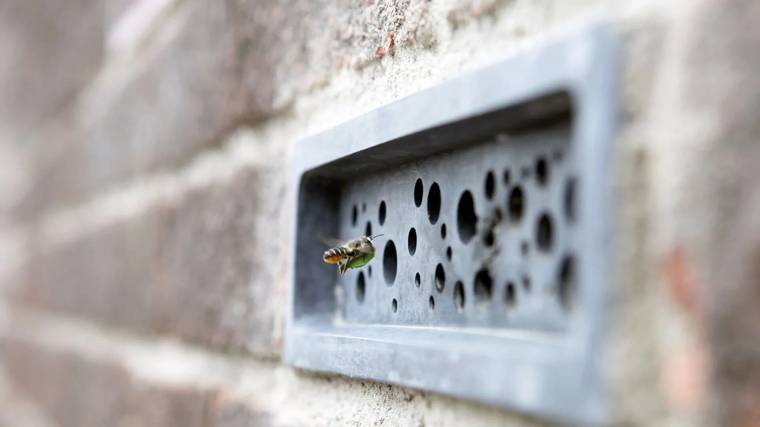 A különleges kialakítású Bee Brick lényege, hogy menedéket nyújtson a méheknek (Fotó: Green & Blue)