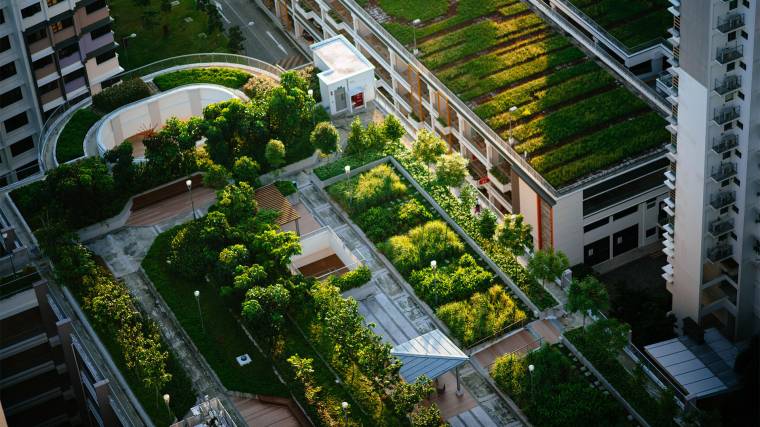 A városi zöld területek fenntartásában a modern technológia is fontos szerepet játszik (Fotó: Unsplash/Chuttersnap)