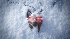 Kiderült, milyen állatot ábrázol az új The Witcher játék képén látható medál kép