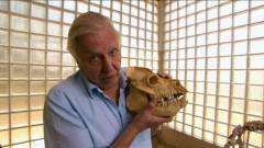 Immár David Attenborough is a Föld bajnoka kép