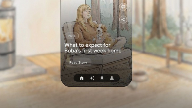 Blurred placeholder