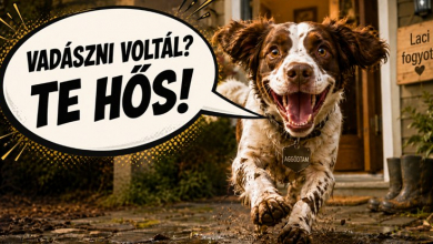 Miért örül most minden kutya ugyanazzal a hanggal a gazdájának TikTokon és Instán? kép