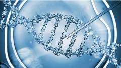 A DNS nanoeszközök szabad utat kaptak az orvosi használatra kép