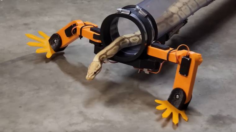 Egy videós megpróbált dacolni az evolúcióval, és lábakat adott egy kígyónak kép