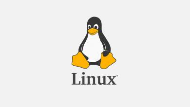 35 éve egy szerény Usenet-bejegyzéssel indult el a Linux története kép