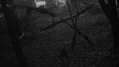 Na, mostantól lehet lelkesedni az Ideglelés, vagyis a Blair Witch Project rebootjáért kép